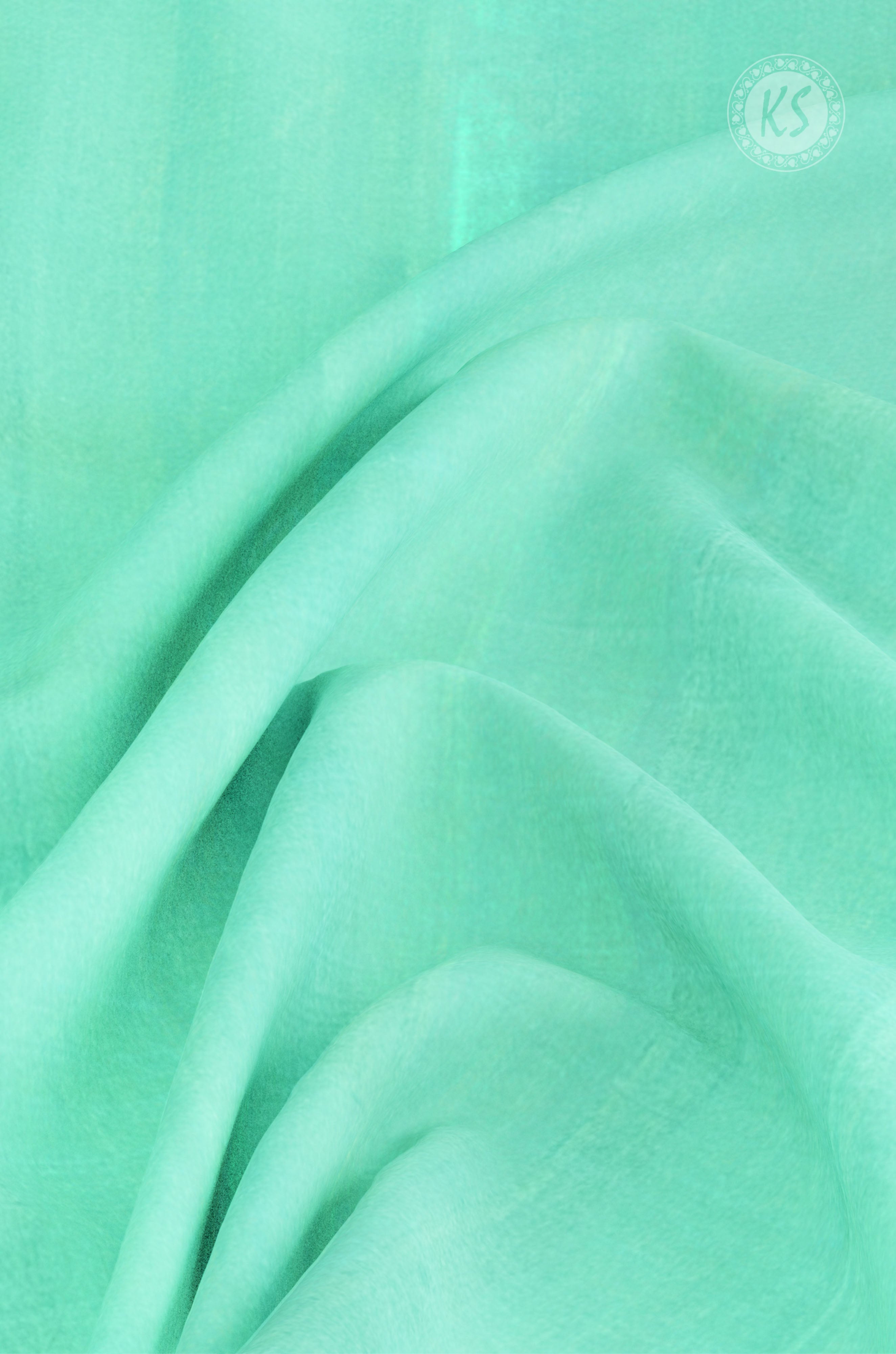 pastel-green-silk-saree-with-striped-border-c